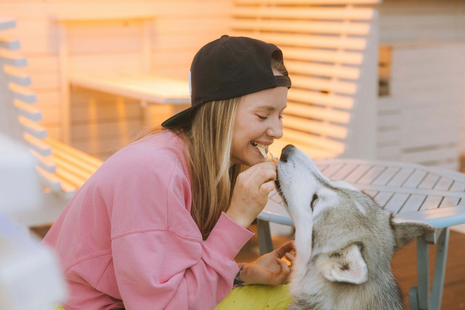 Wellness CompleteāHealth: Natural Cat Food 1 photo-of-a-woman-eating-food-together-with-her-siberian-husky-dog