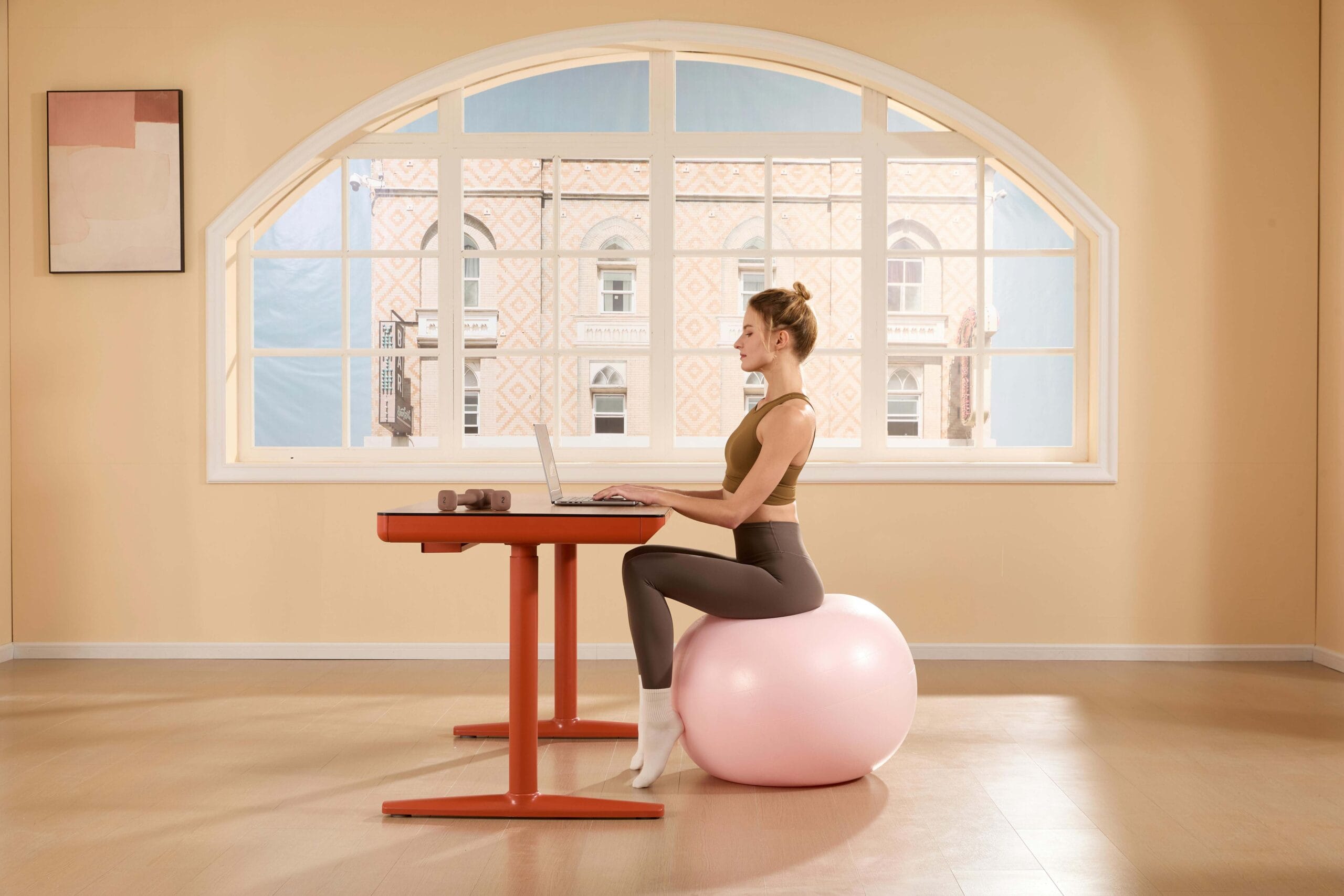 photo-of-woman-using-laptop-on-exercise-ball-at-home-