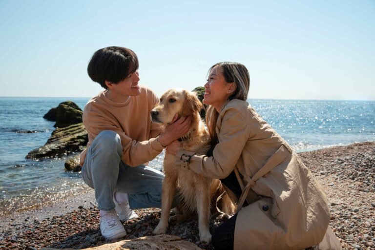 Magnetic Leash Connectors: The Easiest Way to Clip On 7 full-shot-romantic-couple-seaside