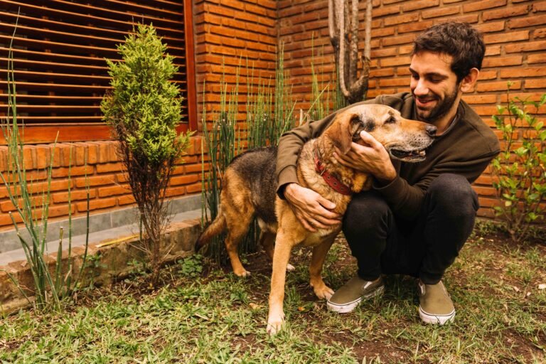 Why Quick-Release Dog Leashes Make Walks Safer and Easier 5 lovely-dog-posing-garden