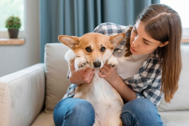 How to Find An Adjustable Dog Collar That's Right For Your Best Friend 7 photo-of-front-view-woman-couch-with-her-dog