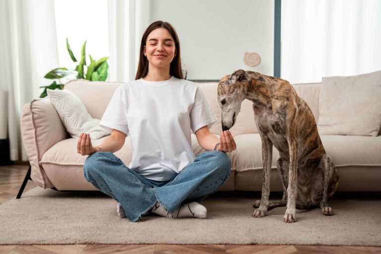 Why to Consider Personalised Dog Collars for Your Pet 9 photo-of-front-view-woman-meditating-home