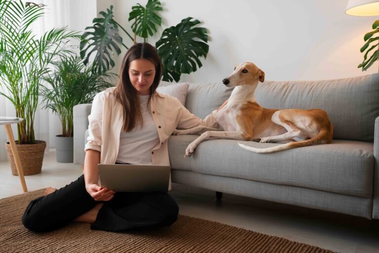 Yellow Dog Leash Buyer’s Guide: Visibility, Hardware and Comfort 11 photo-of-woman-working-home-from-laptop-with-greyhound-dog-couch